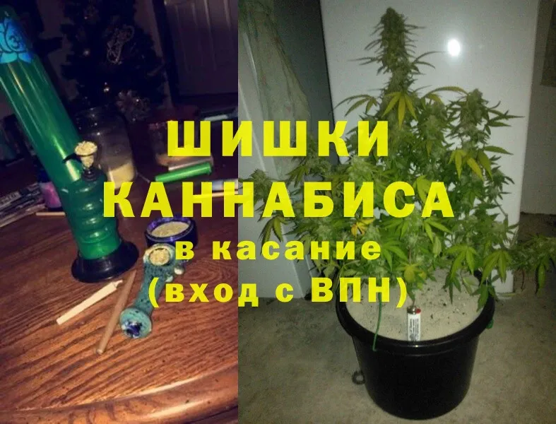 mega ТОР  Бирюсинск  Конопля OG Kush  где продают  